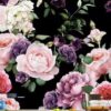 Decorative Wall Mural Collection