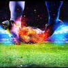 Sports Wall Mural Collection