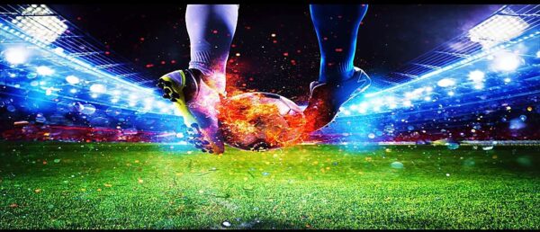 Sports Wall Mural Collection