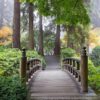 Nature Wall Mural Collection