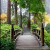 Nature Wall Mural Collection