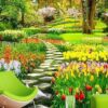 Decorative Wall Mural Collection