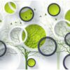Lifestyle, Beauty and Fashion Wall Mural Collection
