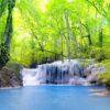 Nature Wall Mural Collection
