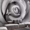 Decorative Wall Mural Collection