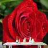 Decorative Wall Mural Collection