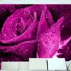 Decorative Wall Mural Collection