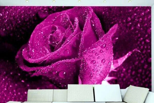 Decorative Wall Mural Collection