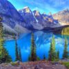 Nature Wall Mural Collection