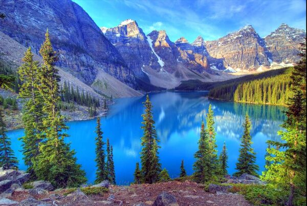 Nature Wall Mural Collection