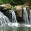 Nature Wall Mural Collection