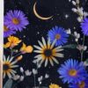 Decorative Wall Mural Collection