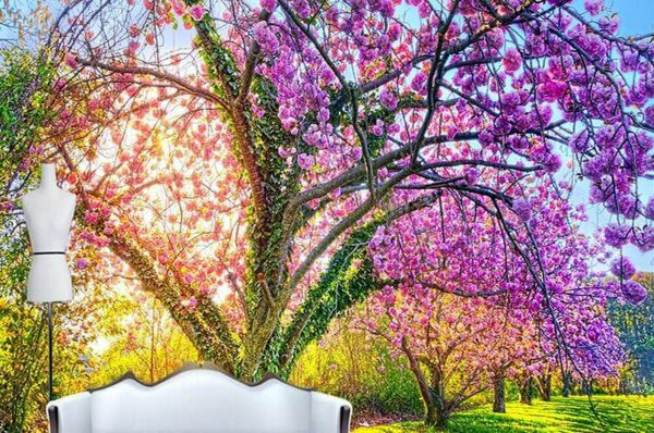 Decorative Wall Mural Collection
