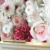 Decorative Wall Mural Collection