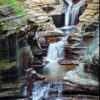 Nature Wall Mural Collection