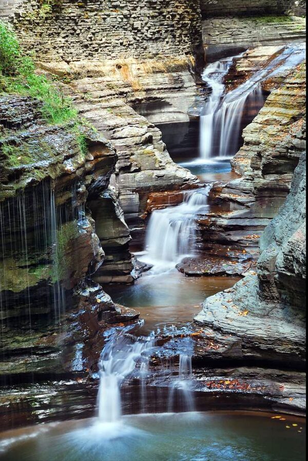 Nature Wall Mural Collection