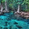 Nature Wall Mural Collection