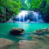 Nature Wall Mural Collection