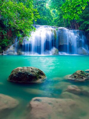Nature Wall Mural Collection