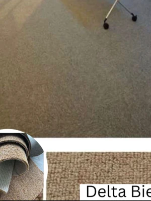 Beige Delta wall to wall Carpet