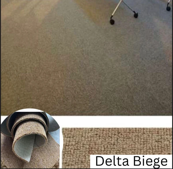 Beige Delta wall to wall Carpet